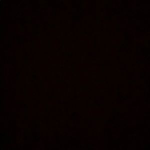 Meet your Posher, Dina